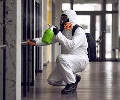 Why You Should Choose Our Mold Remediation Services in Red Cloud, NE